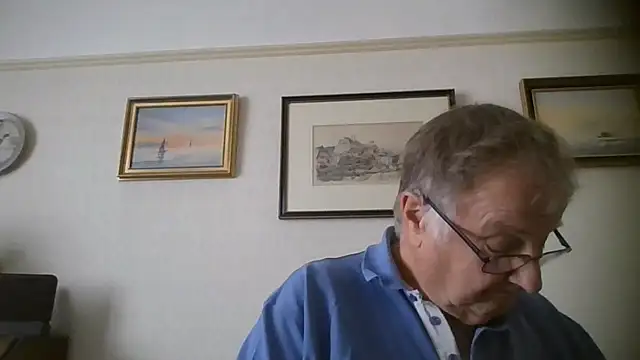 llew88 webkamerás műsora
