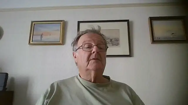 llew88 webcam show