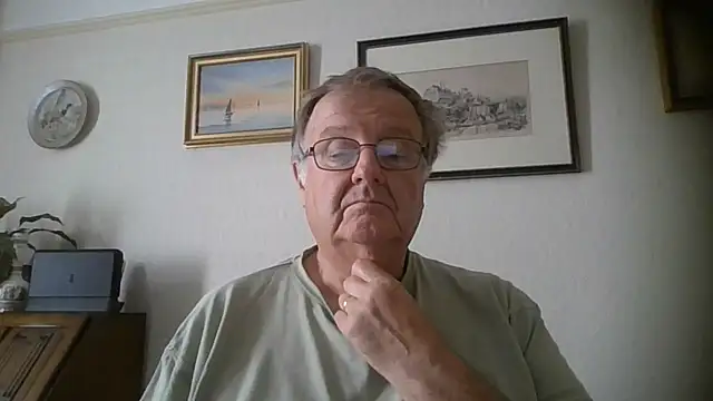 Show webcam de llew88