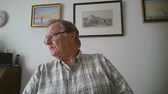 Show Webcam de llew88