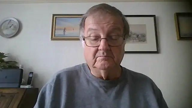 Show webcam de llew88