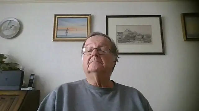 llew88 Webcam show