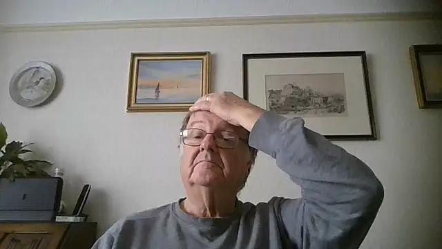 llew88 Pertunjukan Webcam