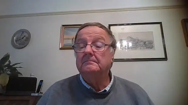 llew88n Webbikameraesitys