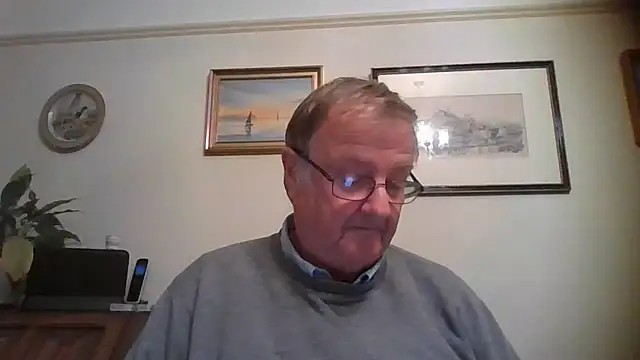 llew88 webkamerás műsora