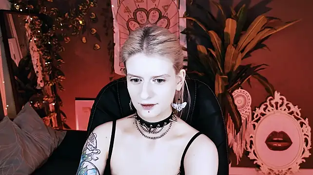 Chat +18 de Noah_ElmerX ao vivo