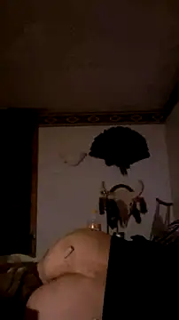 Cushington Webcam show