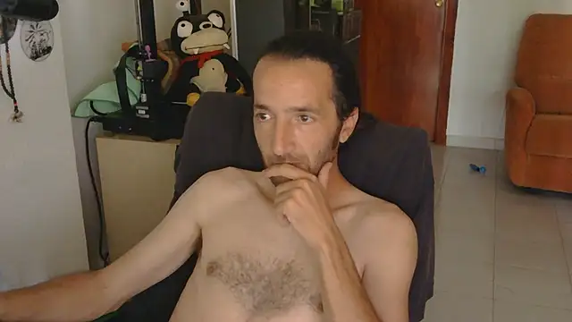 softail85 – webcam-show