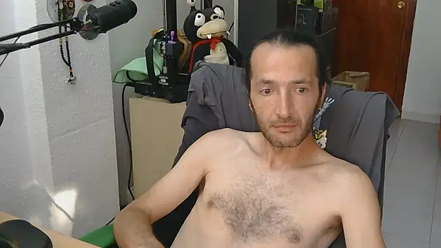 softail85 Show in webcam