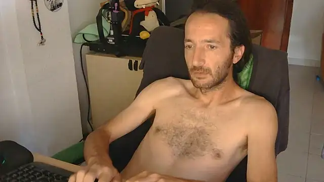 softail85 – webcam-show