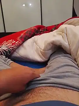 Piteko2026 Webcam show