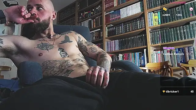 Show webcam de padr3jason