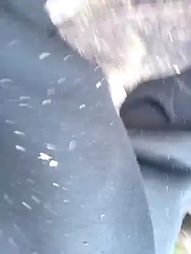 pauloandresのウェブカメラショー