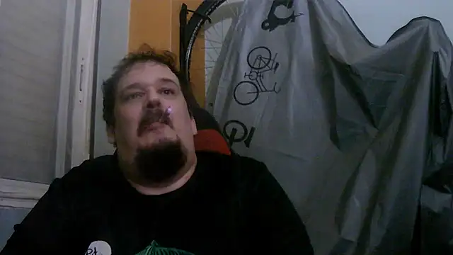 Show Webcam de porkorossy