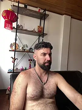 ADONIS_ART01n Webbikameraesitys
