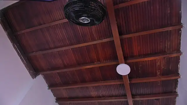 emily-fox Adlı Modelin Canlı Sohbet Odası