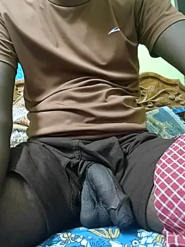 Tamil10inches' Webcam Show