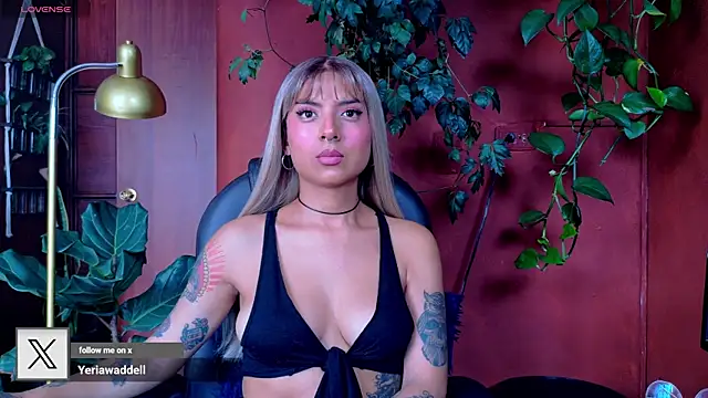 Yeriawaddell_n Webbikameraesitys
