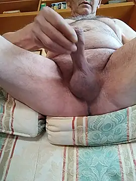 S2253n Webbikameraesitys