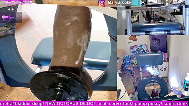 Show Webcam de MaryBrook1