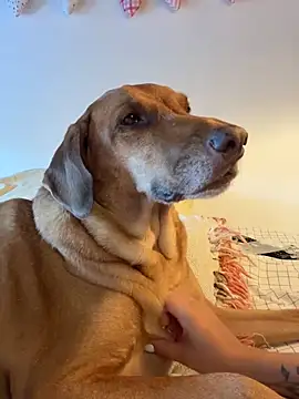 Živý XXX chat Emilia_Bakerr