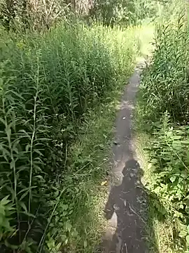 عرض كام Peperoso777