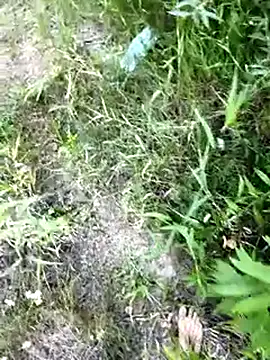 Peperoso777's Webcam Show