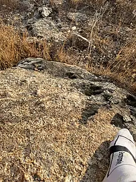 Grimniirのウェブカメラショー