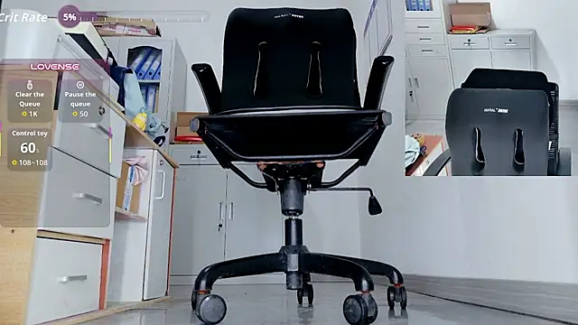 הופעת וובקאם של office-diodio