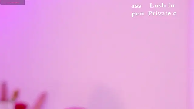 Sachi_Meow 실시간 채팅방