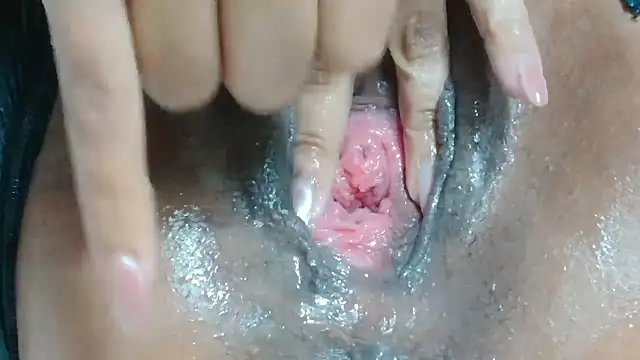 _touchme Show Webcam