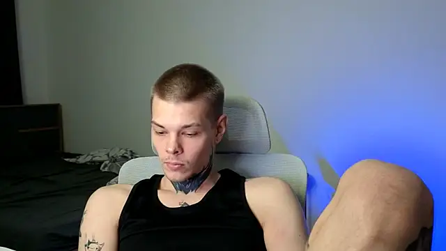 DENIS_HEREn Webbikameraesitys