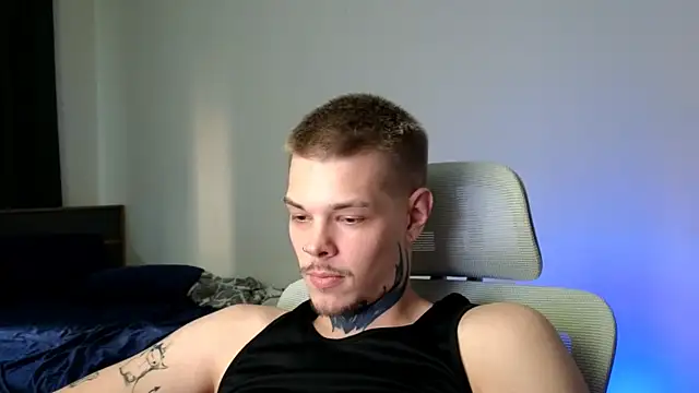 DENIS_HERE Show in webcam