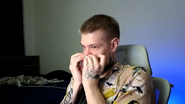 DENIS_HEREn Webbikameraesitys