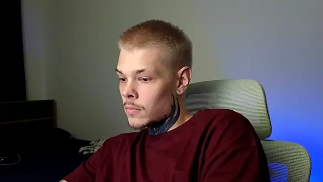 DENIS_HEREn Webbikameraesitys