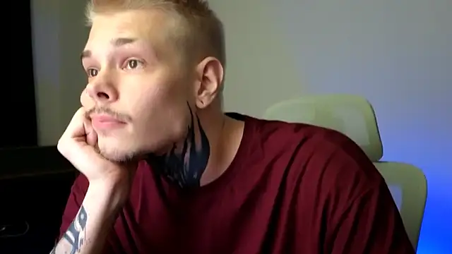 DENIS_HERE Show in webcam