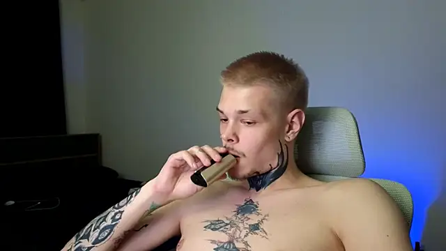 DENIS_HEREn Webbikameraesitys