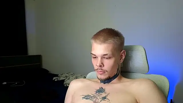 DENIS_HERE Show in webcam
