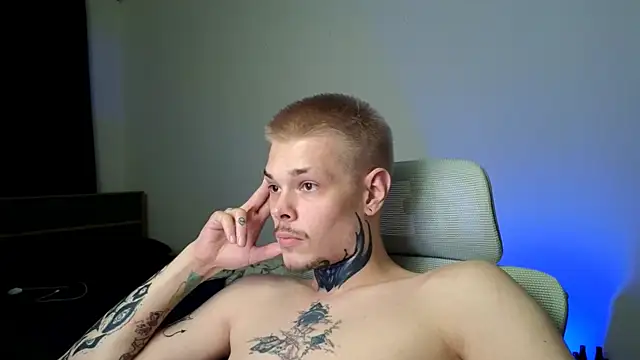 DENIS_HEREn Webbikameraesitys