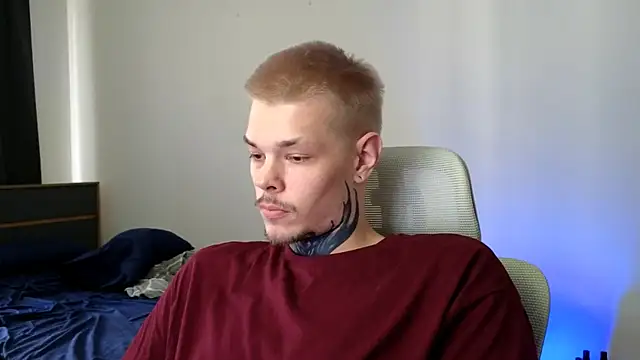 DENIS_HERE Show in webcam
