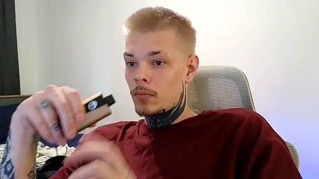 DENIS_HEREn Webbikameraesitys