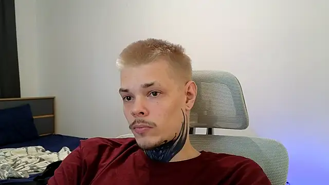 DENIS_HERE Show in webcam
