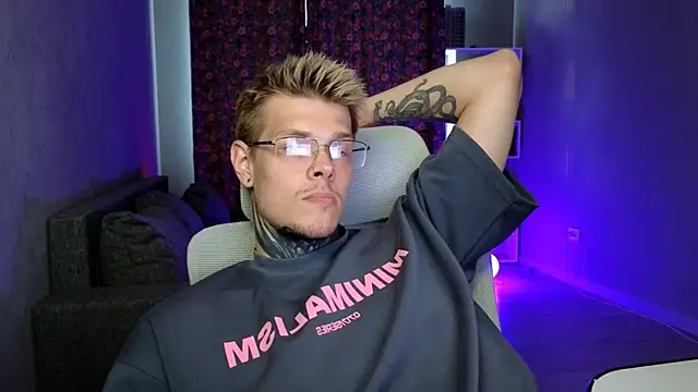 DENIS_HEREn Webbikameraesitys
