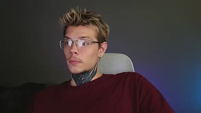 DENIS_HERE Show Webcam