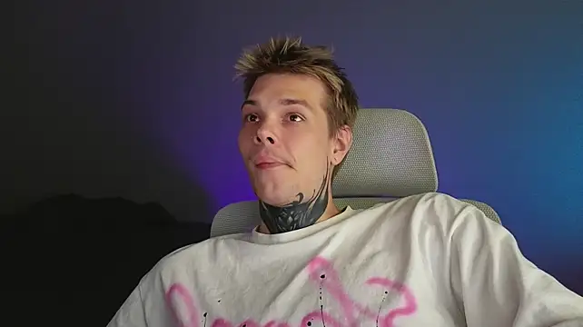 DENIS_HEREn Webbikameraesitys