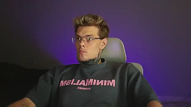 DENIS_HEREn Webbikameraesitys