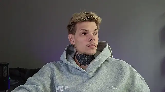 DENIS_HEREn Webbikameraesitys