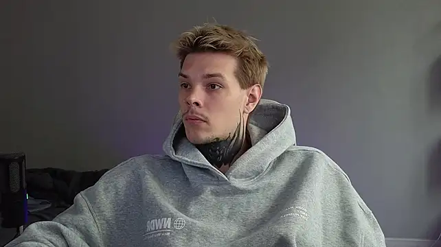 DENIS_HEREn Webbikameraesitys