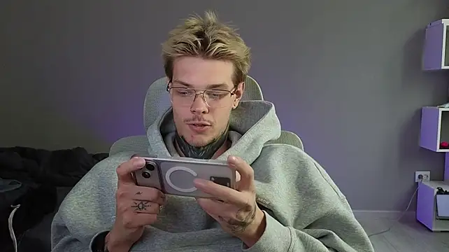 DENIS_HEREn Webbikameraesitys