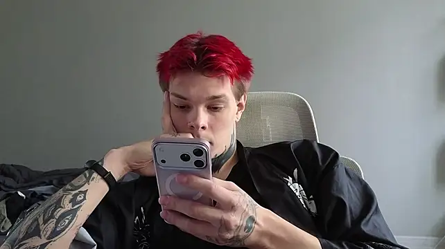 DENIS_HEREn Webbikameraesitys